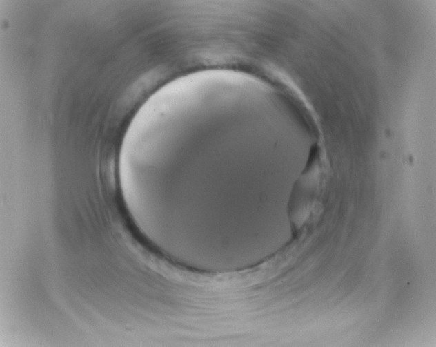 X0000070340019200607072024