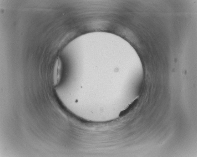 X0000070340021200607072024