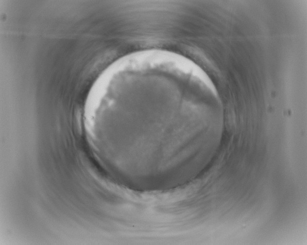 X0000070340022200607072024