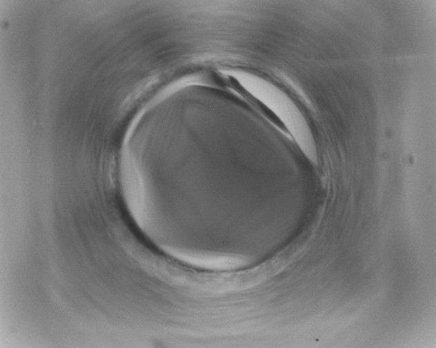 X0000070340023200607072024