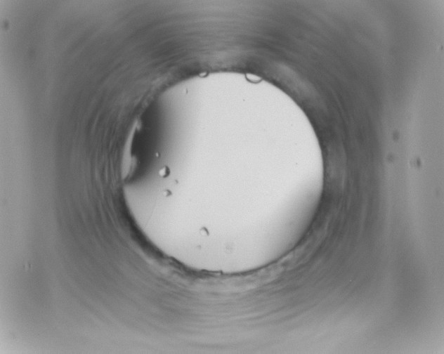 X0000070340025200607072024