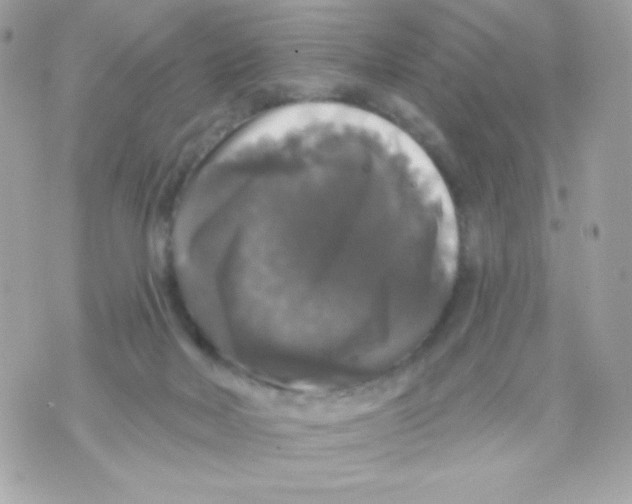 X0000070340026200607072024