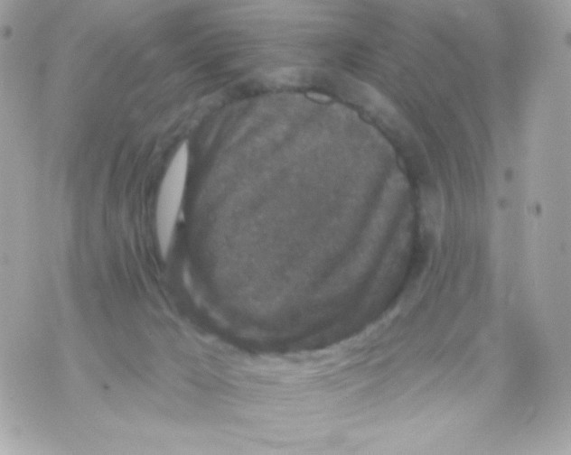 X0000070340029200607072024