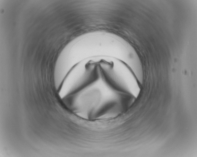 X0000070340030200607072024