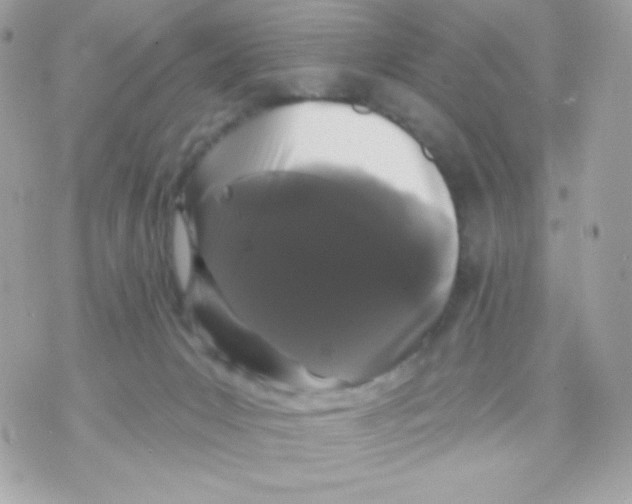 X0000070340031200607072024