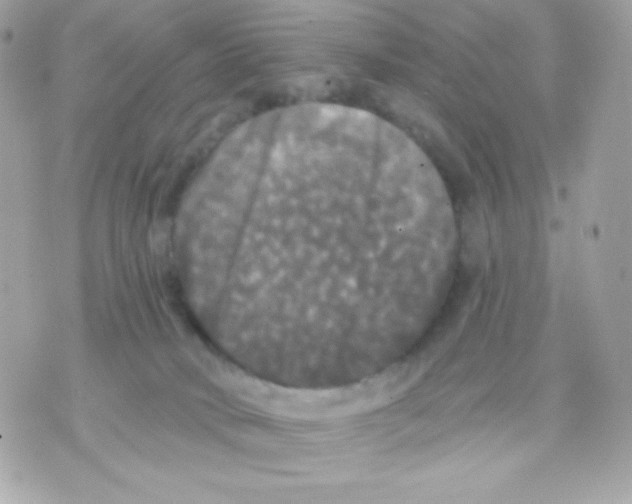 X0000070340034200607072024