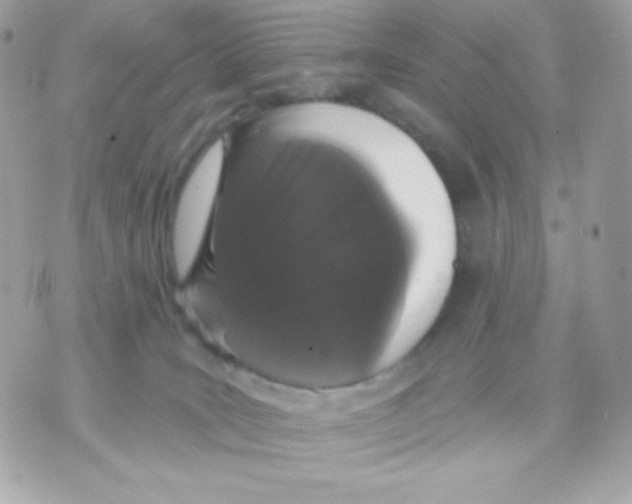 X0000070340035200607072024