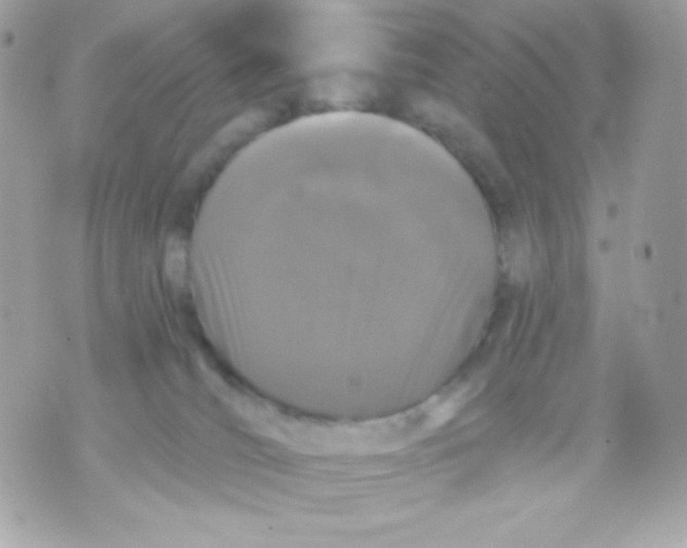 X0000070340036200607072024