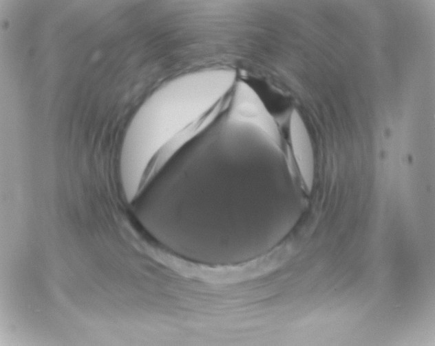 X0000070340039200607072024