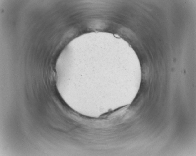 X0000070340040200607072024