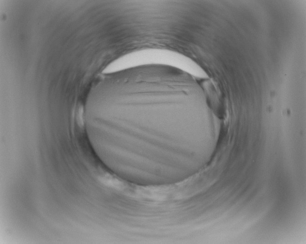 X0000070340041200607072024