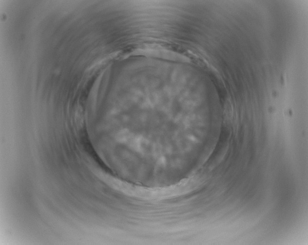 X0000070340043200607072024