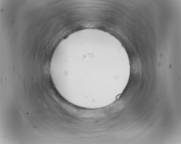 X0000070340044200607072024