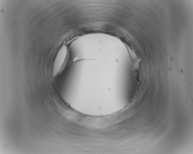 X0000070340045200607072024