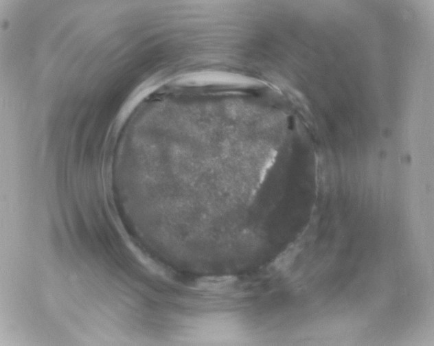 X0000070340051200607072023