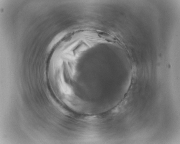 X0000070340054200607072023