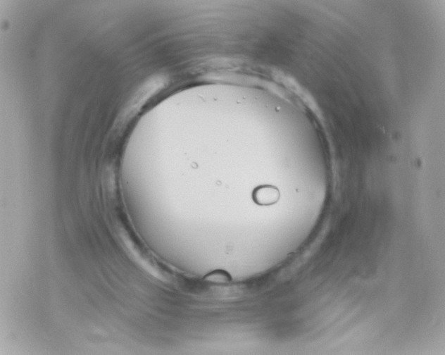 X0000070340057200607072023