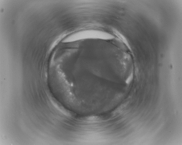 X0000070340059200607072023