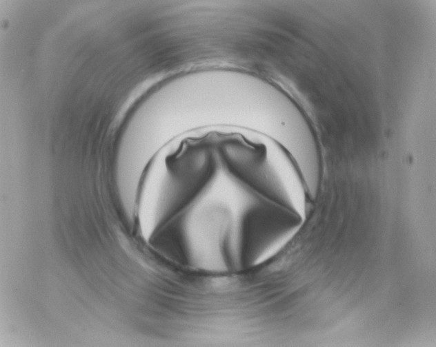 X0000070340060200607072023