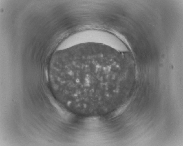 X0000070340061200607072023