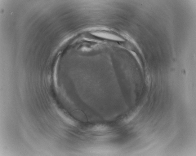 X0000070340063200607072023