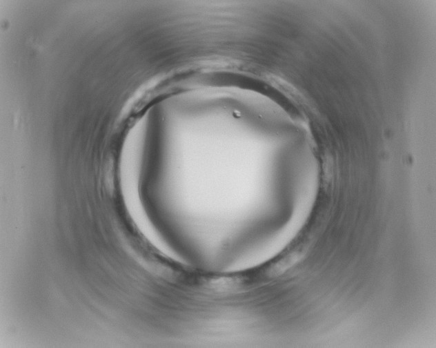 X0000070340064200607072023