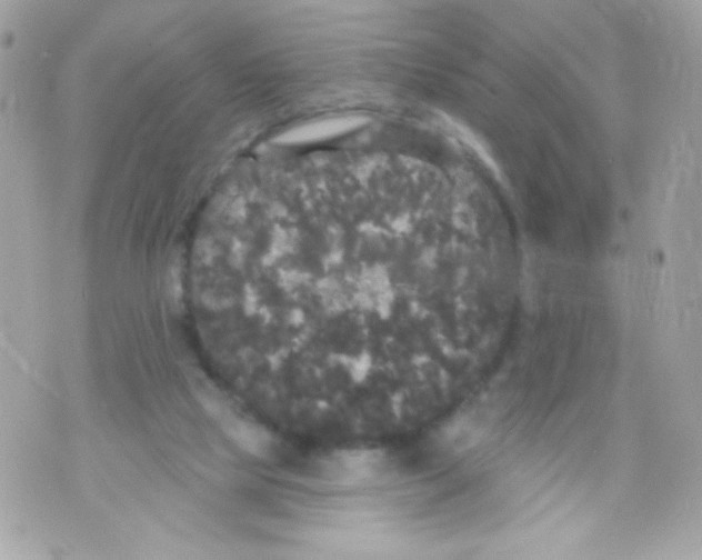 X0000070340065200607072023