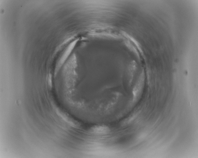 X0000070340067200607072023