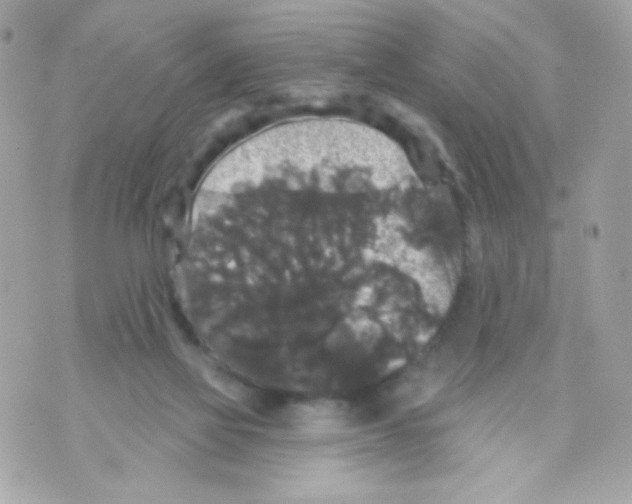 X0000070340069200607072023