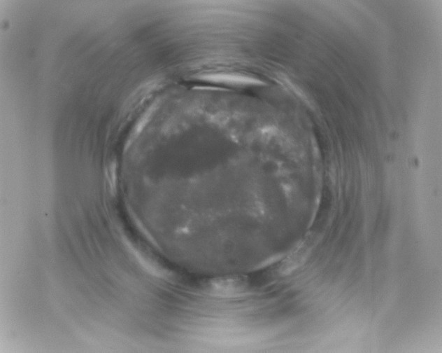 X0000070340070200607072023