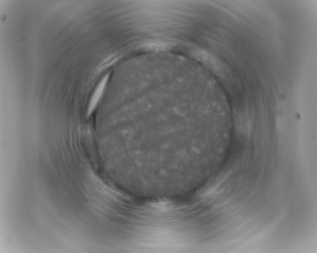 X0000070340071200607072023