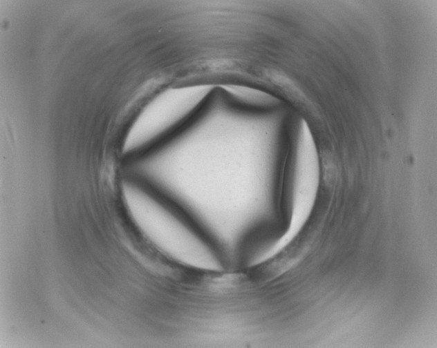 X0000070340072200607072023