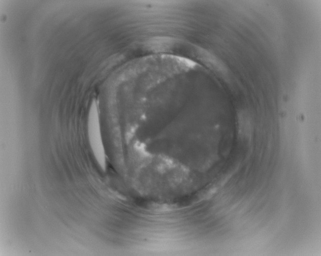 X0000070340073200607072023