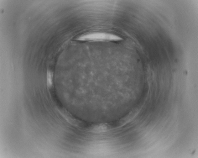 X0000070340075200607072023