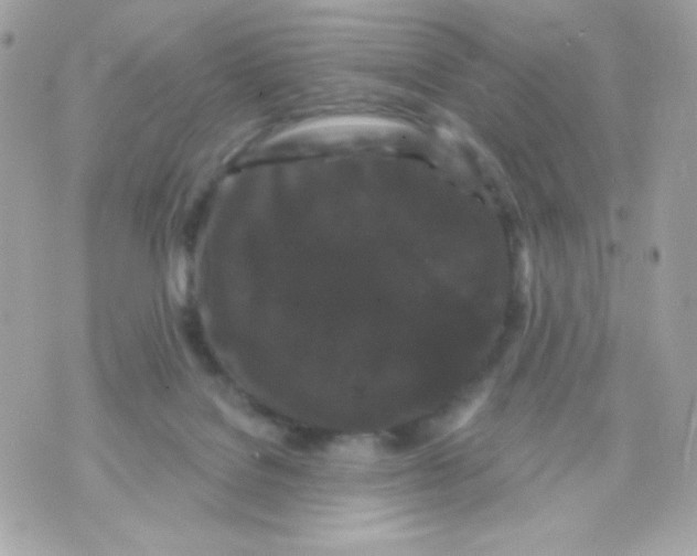 X0000070340076200607072023