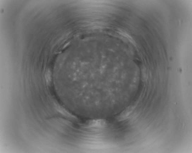 X0000070340077200607072023