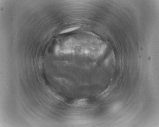 X0000070340078200607072023