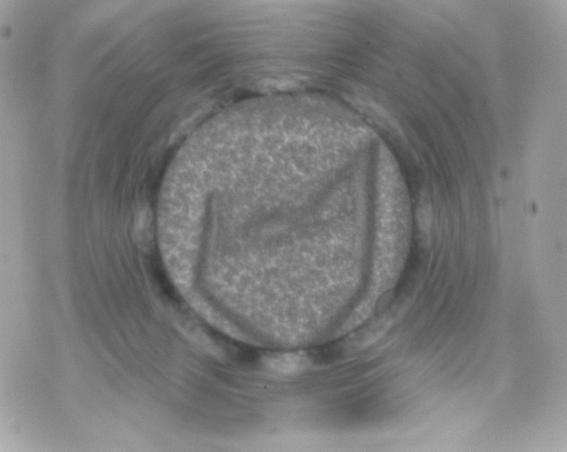 X0000070340079200607072023