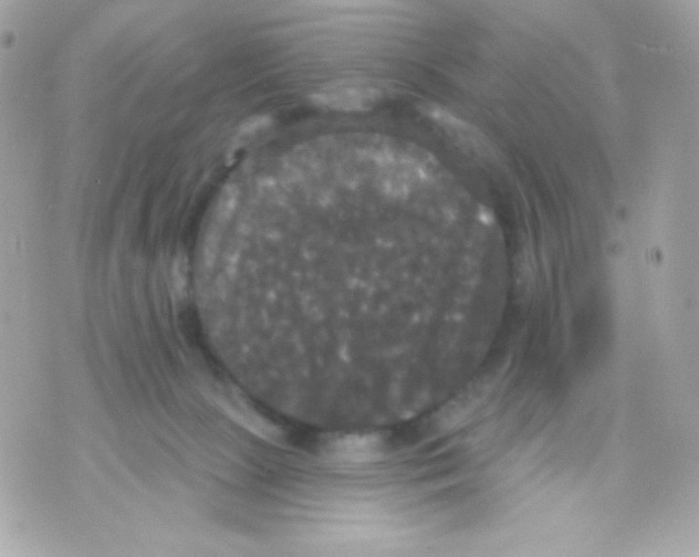 X0000070340081200607072023