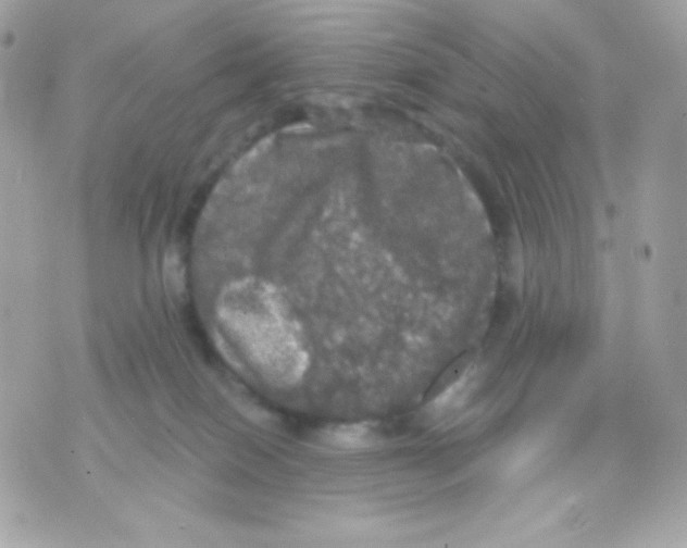 X0000070340086200607072024