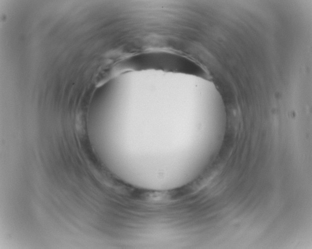 X0000070340088200607072024