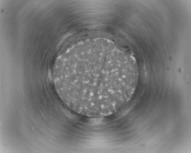 X0000070340089200607072024