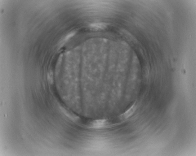 X0000070340090200607072024