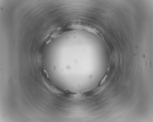 X0000070340092200607072024