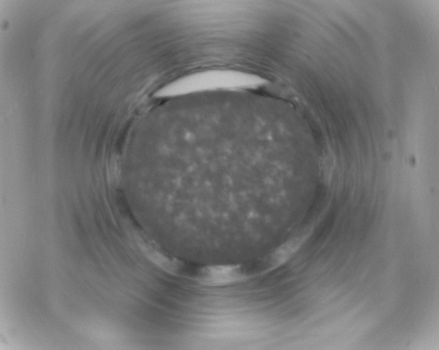 X0000070340093200607072024