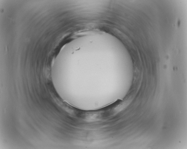 X0000070340096200607072024