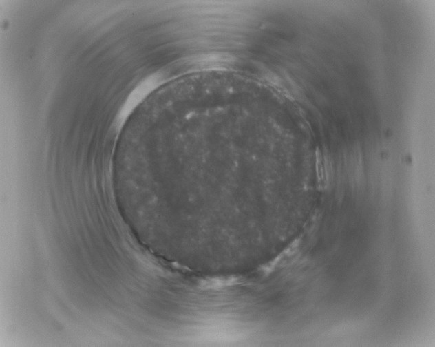 X0000070340099200607072023