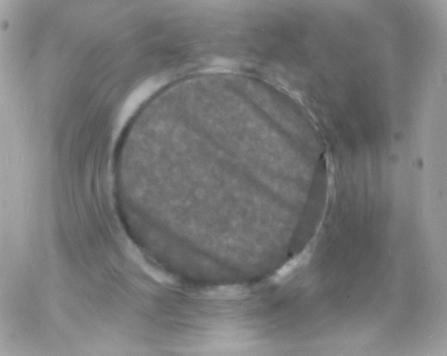 X0000070340102200607072023