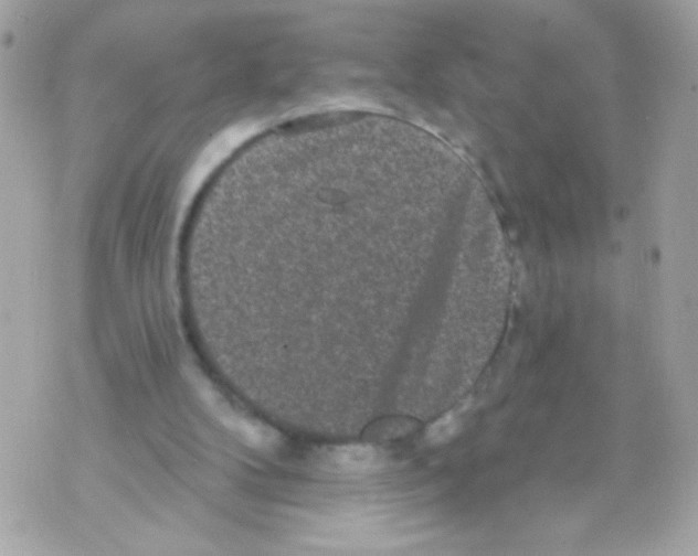 X0000070340104200607072023