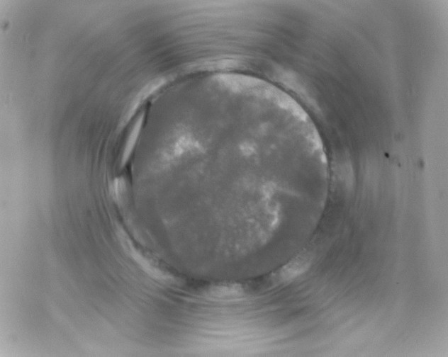 X0000070340110200607072023